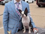 Jinglenonirama Crews With Ruff Waters