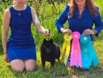 Minneka N Ropaws Destined To Succeed