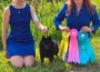 Minneka N Ropaws Destined To Succeed