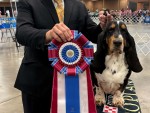 Reveille's Bujo's Riding In Style
