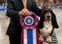 Reveille's Bujo's Riding In Style