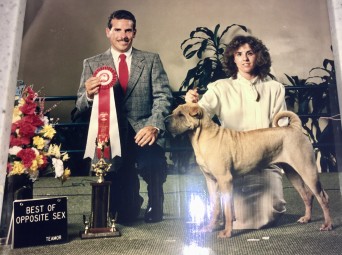 TBT827