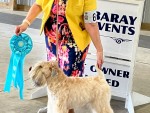 Vanbeards Starlight Paladin For Exete