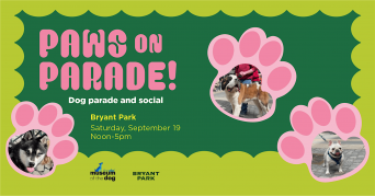AKC Museum and Bryant Park