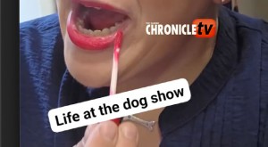 lifeatthedogshow