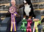 Adesa’s Shooting Star at Mountain View Farms