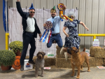 Alpha Delta Kennel A Winter Storm Warning