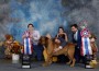 Alpha Delta Kennel A Winter Storm Warning
