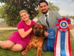 Alpha Delta Kennel A Winter Storm Warning