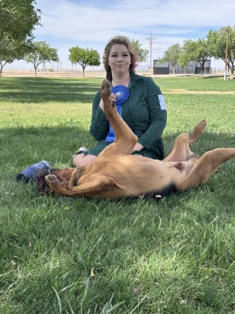Blooper Colt