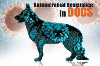F 116 Antimicrobial Resistance in Dogs