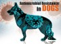 F 116 Antimicrobial Resistance in Dogs