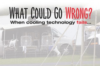 F 228 What Could Go Wrong