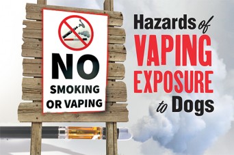 F 266 The Hazards of Vaping