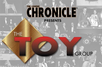 F 297 HOF Toy Group