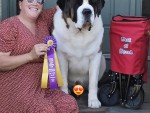Heart Mountain’s Bodacious At Sapphire Mountain