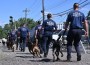K9 disaster New York Task Force One
