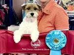 Spotswood Miss Bee Haven