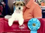 Spotswood Miss Bee Haven