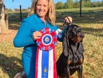 CSG Summitt Rockytop Nickleblack At Carlin