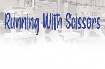 F 086 Running With Scissors