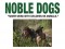 F 102 Noble Dogs