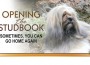 F 136 Opening the Studbook