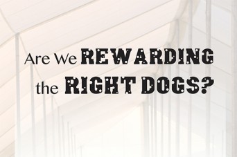 F 196 Rewarding Right Dogs