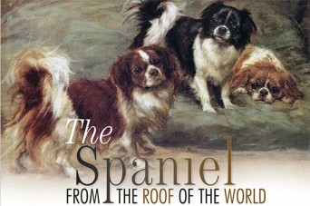 F 202 The Spaniel