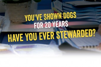 F 214 Youve Shown Dogs