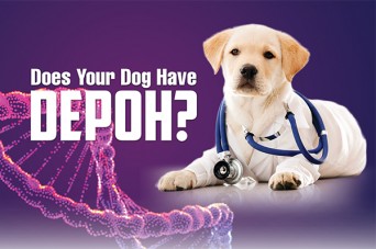 F 244 Does Your Dog Have DEPOH