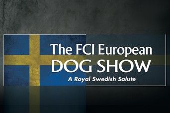 F 258 FCI European Dog Show