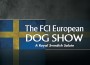 F 258 FCI European Dog Show