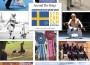 F 266 ATR European Dog Show - Stockholm