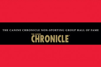 F 272 CC HOF Non-Sporting