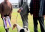 Foxheart’s I Won’t Back Down