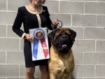 Impeccable's Odysseus The Faithful