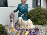 Kimik Tasen Westgate Spin The Bottle
