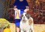 King's Row Tribute By Country Haven