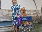 Legacy Golden Julieta