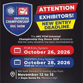 PHOTO-2026-10-14-19-41-40