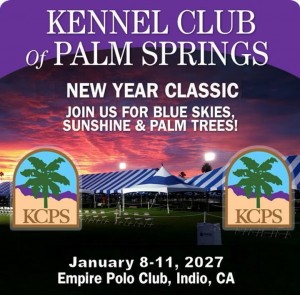 PalmSprings