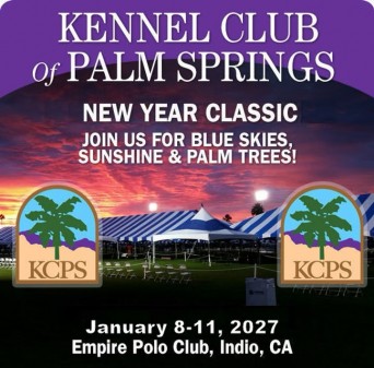 PalmSprings