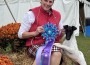 SpringHill Broxden In Cahoots