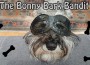 Trick Dog Bonny Bark