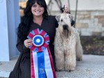Villanova Clean Sweep To Adako