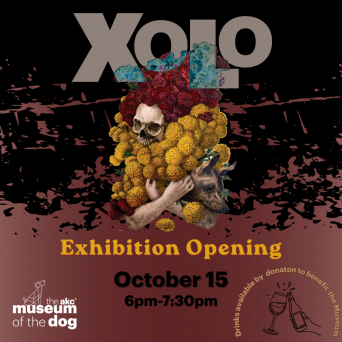 Xoloitzcuintle Opening Reception